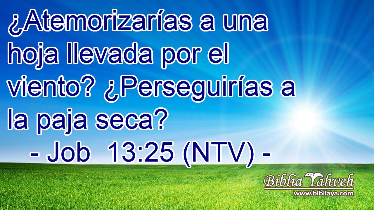 ¿Atemorizarías a una hoja llevada por el viento? ¿Perseguirías a la paja seca?