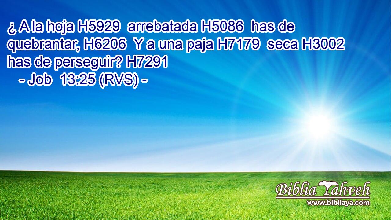 ¿ A la hoja H5929  arrebatada H5086  has de quebrantar, H6206  Y a una paja H7179  seca H3002  has de perseguir? H7291  