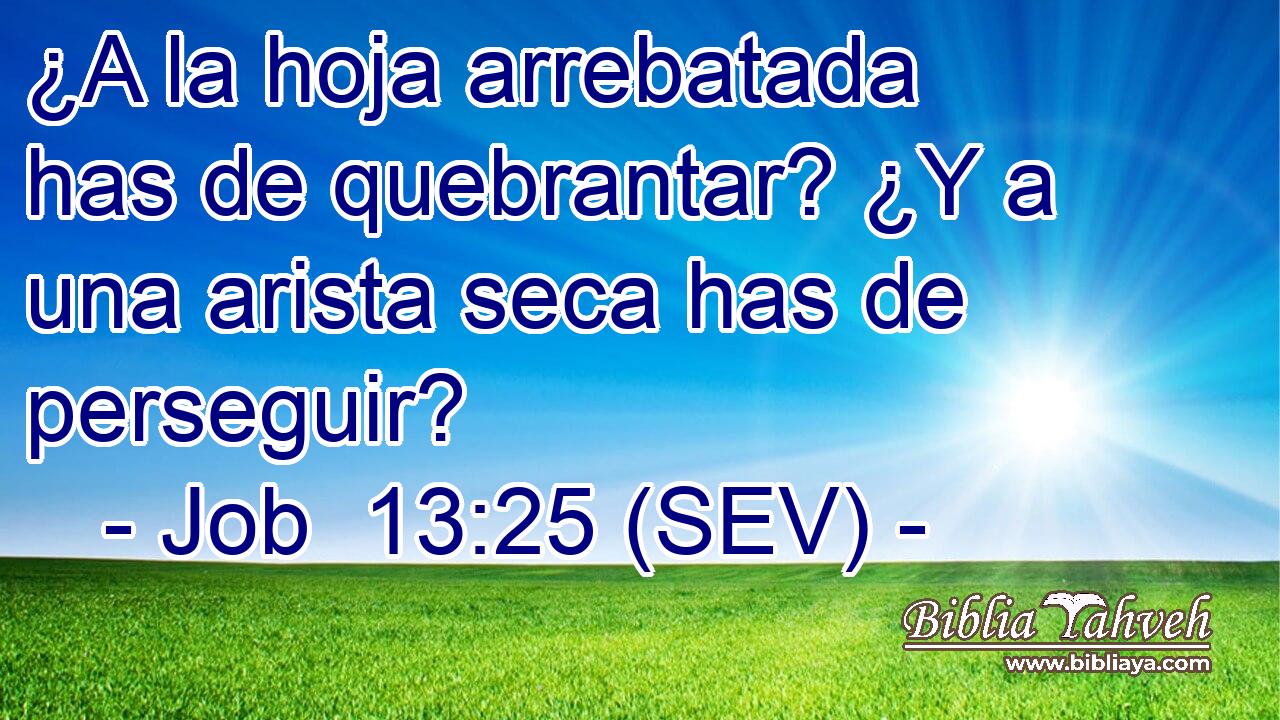 ¿A la hoja arrebatada has de quebrantar? ¿Y a una arista seca has de perseguir?