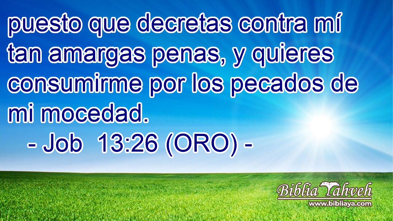  puesto que decretas contra mí tan amargas penas, y quieres consumirme por los pecados de mi mocedad. 