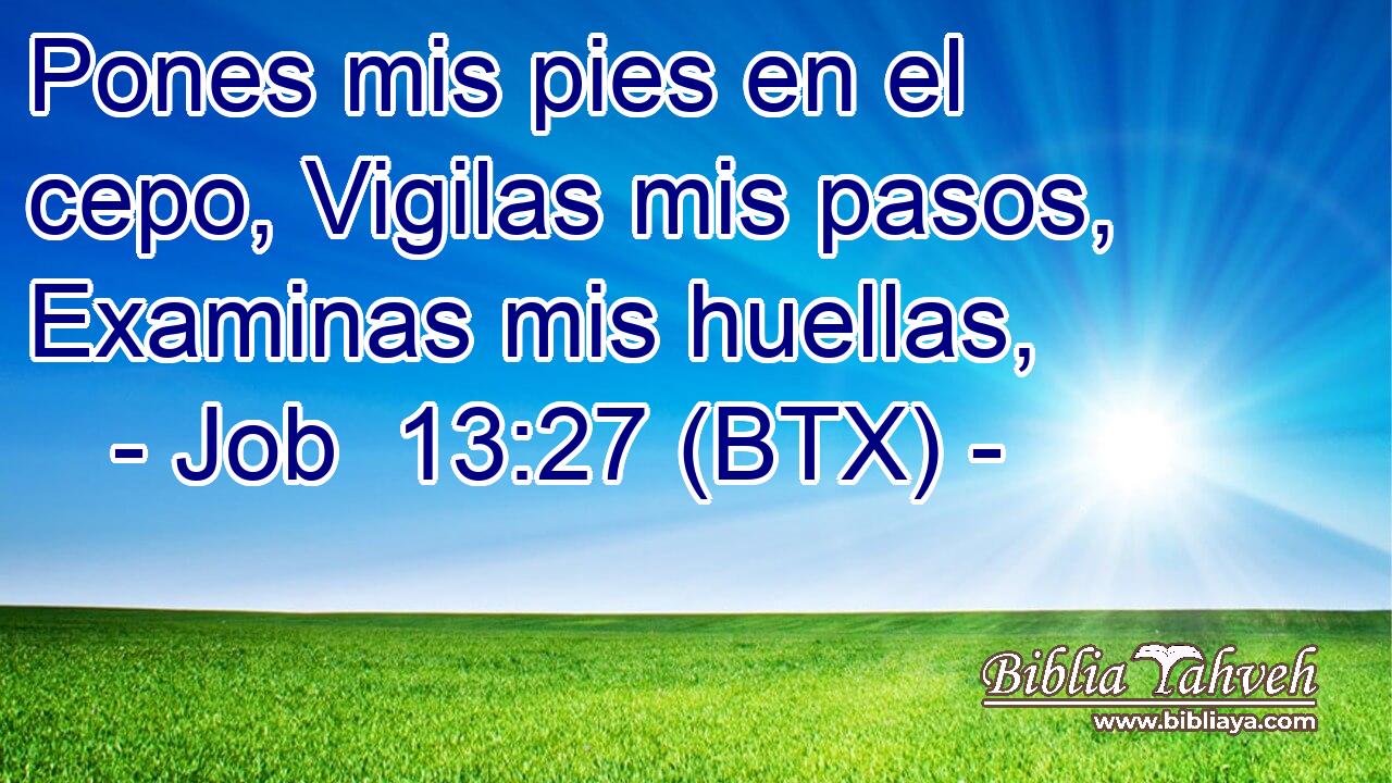 Pones mis pies en el cepo, Vigilas mis pasos, Examinas mis huellas,