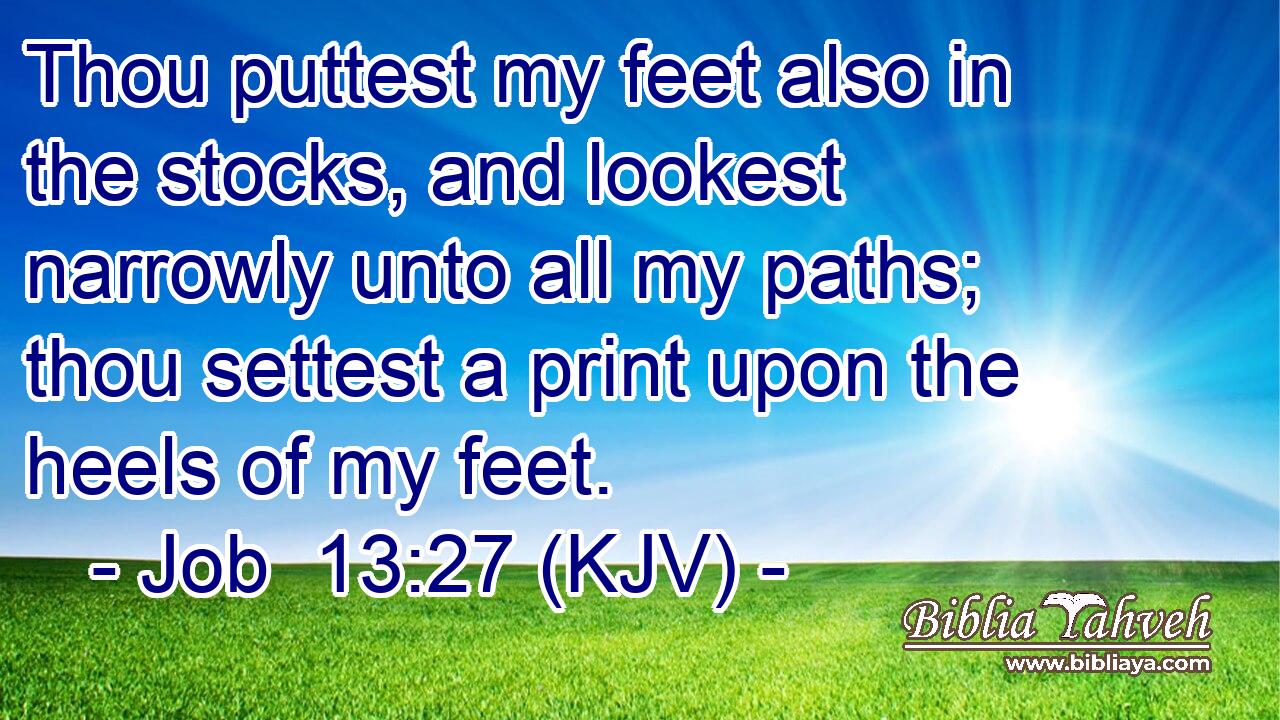 Thou puttest my feet also in the stocks, and lookest narrowly unto all my paths; thou settest a print upon the heels of my feet.
