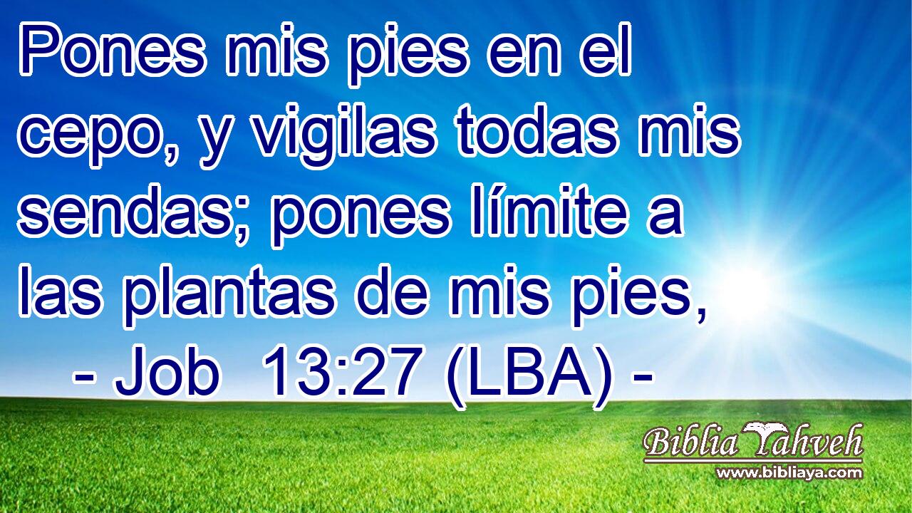 Pones mis pies en el cepo, y vigilas todas mis sendas; pones límite a las plantas de mis pies,