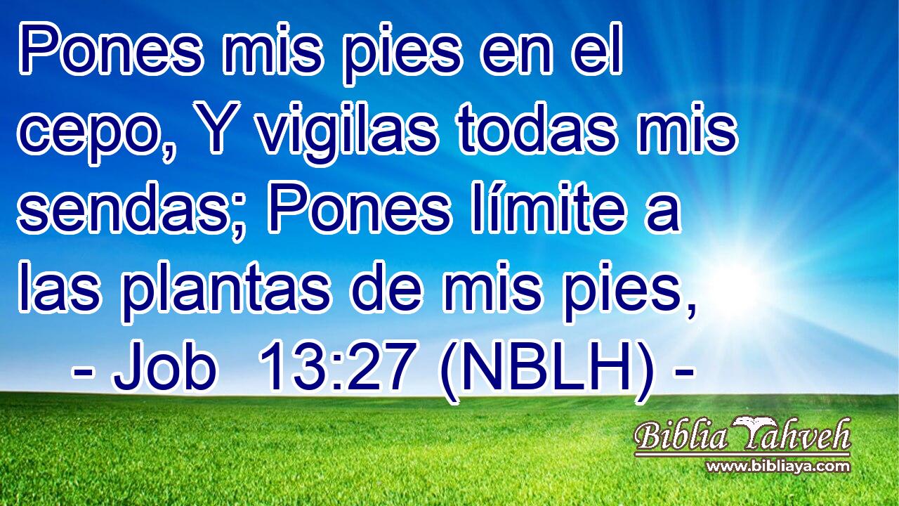  Pones mis pies en el cepo, Y vigilas todas mis sendas; Pones límite a las plantas de mis pies, 