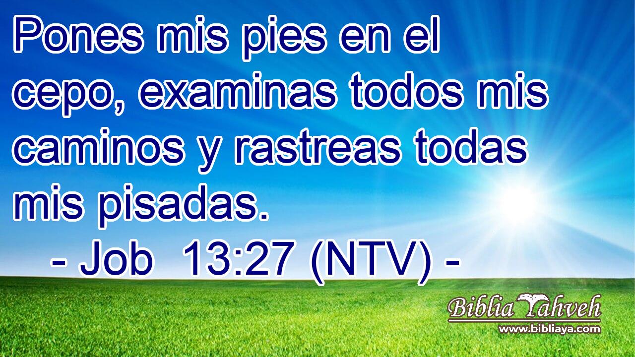Pones mis pies en el cepo, examinas todos mis caminos y rastreas todas mis pisadas.