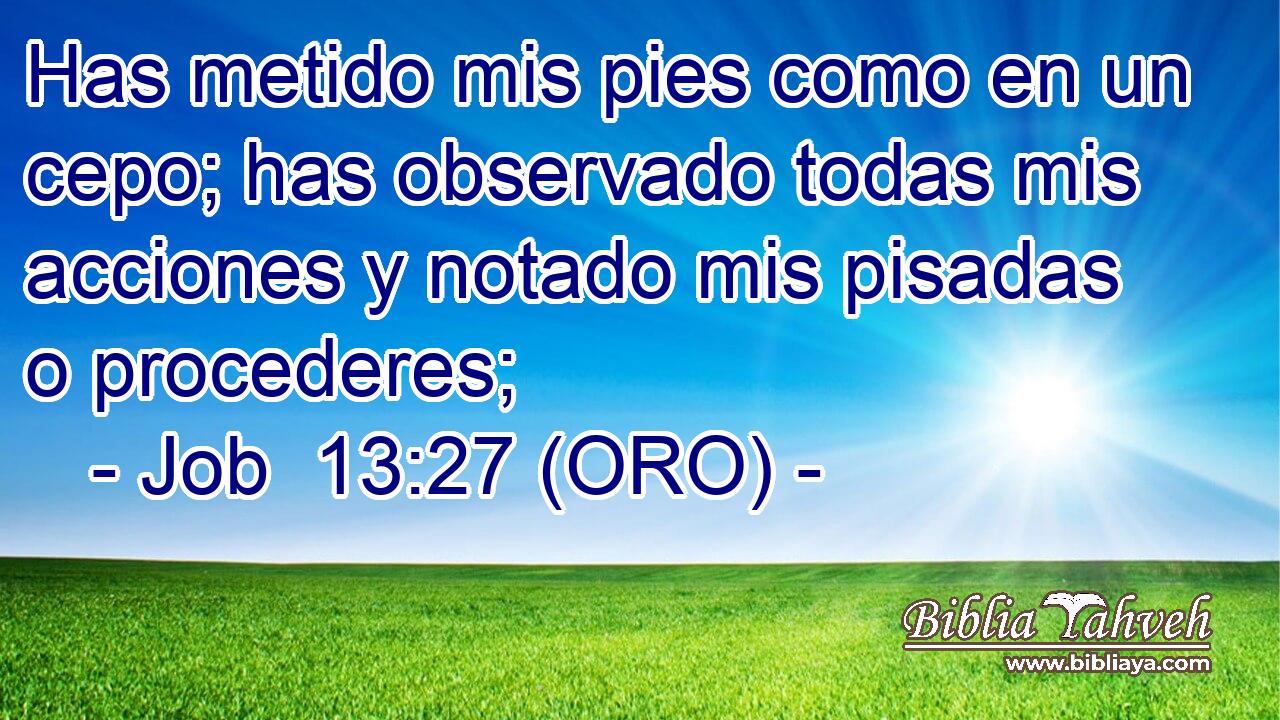  Has metido mis pies como en un cepo; has observado todas mis acciones y notado mis pisadas o procederes; 