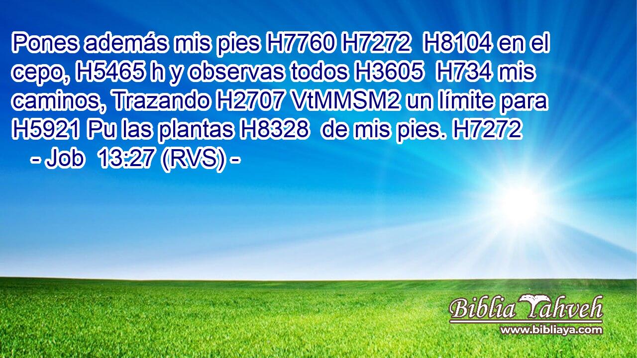 Pones además mis pies H7760 H7272  H8104 en el cepo, H5465 h y observas todos H3605  H734 mis caminos, Trazando H2707 VtMMSM2 un límite para H5921 Pu las plantas H8328  de mis pies. H7272  