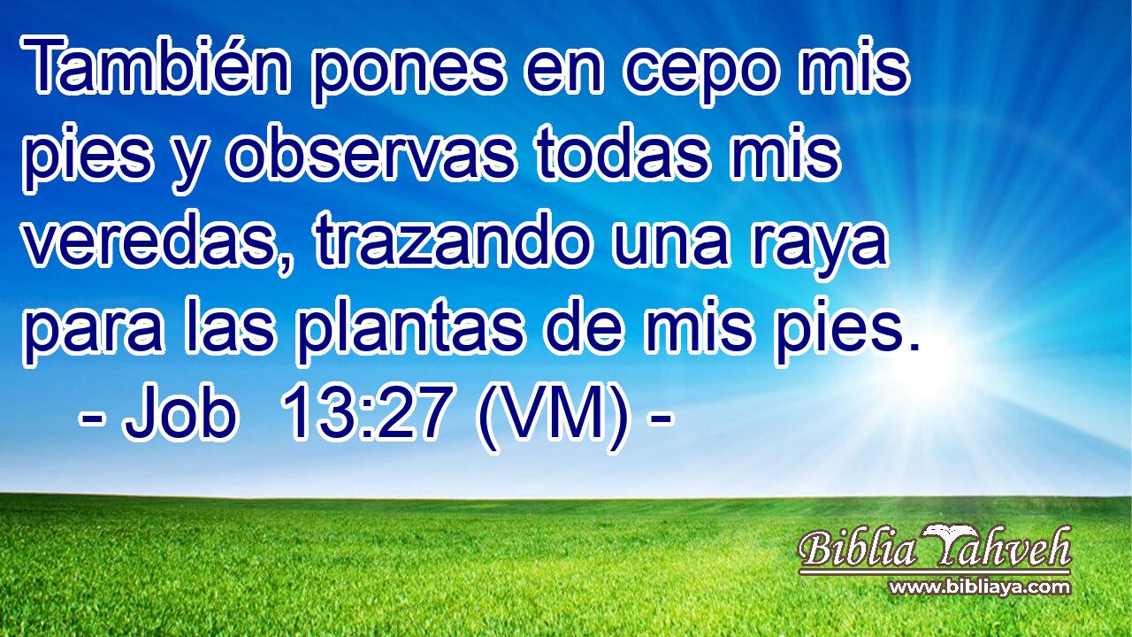  También pones en cepo mis pies y observas todas mis veredas, trazando una raya para las plantas de mis pies. 