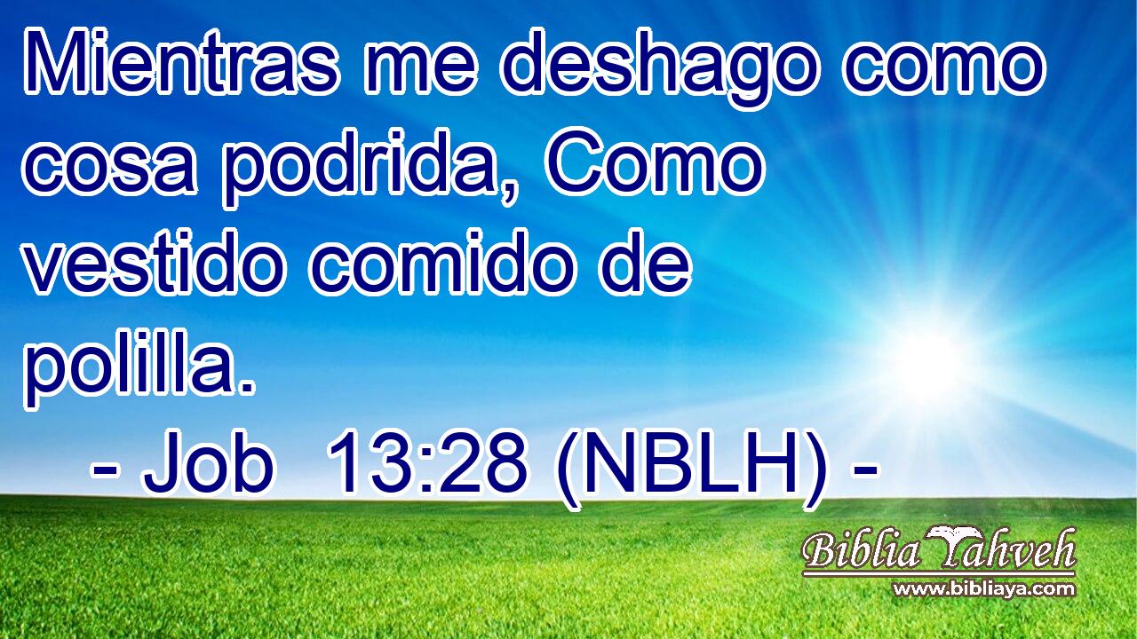  Mientras me deshago como cosa podrida, Como vestido comido de polilla. 