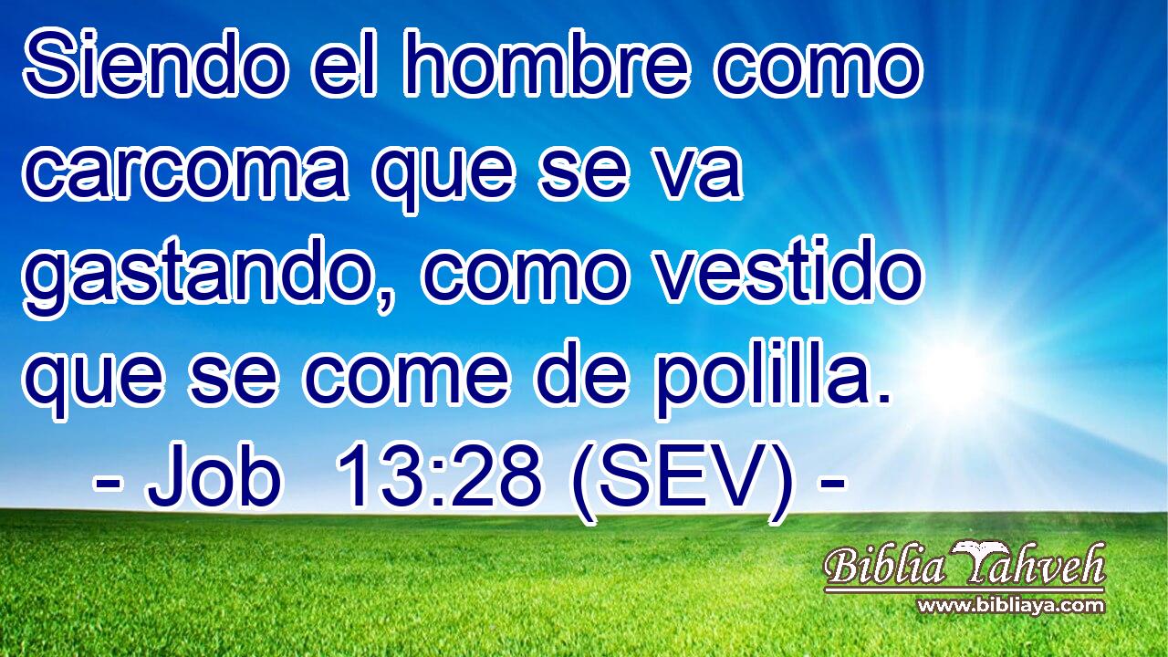 Siendo el hombre como carcoma que se va gastando, como vestido que se come de polilla.