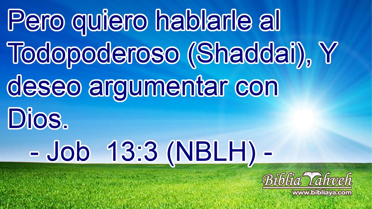  Pero quiero hablarle al Todopoderoso (Shaddai), Y deseo argumentar con Dios. 
