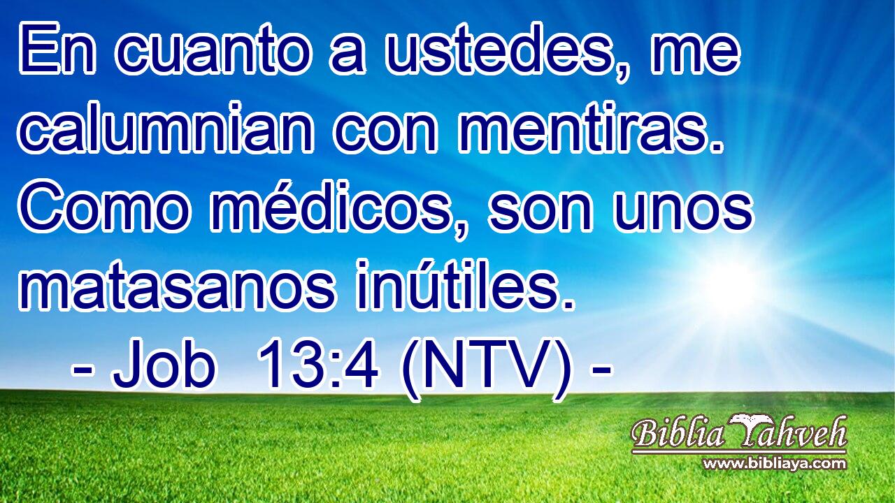 En cuanto a ustedes, me calumnian con mentiras. Como médicos, son unos matasanos inútiles.