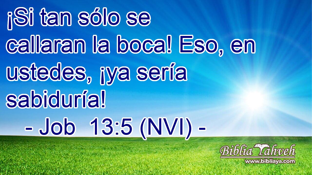  ¡Si tan sólo se callaran la boca! Eso, en ustedes, ¡ya sería sabiduría! 