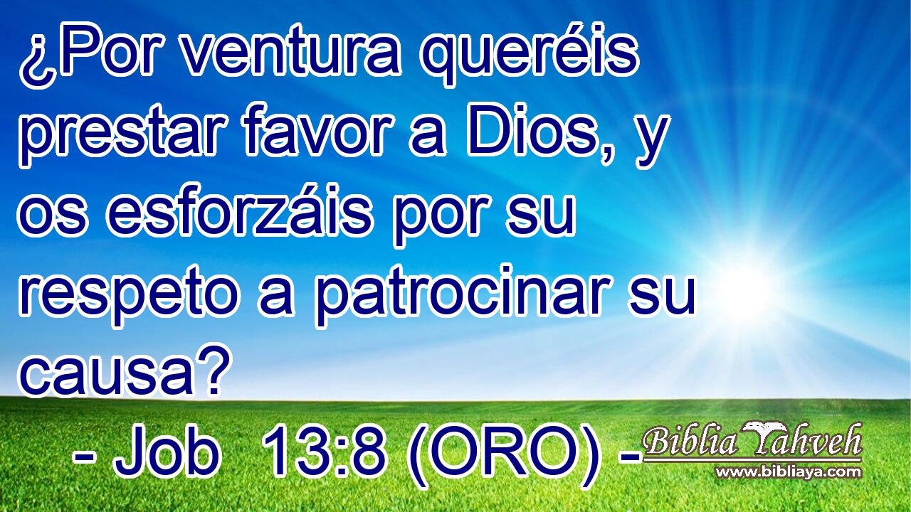  ¿Por ventura queréis prestar favor a Dios, y os esforzáis por su respeto a patrocinar su causa? 