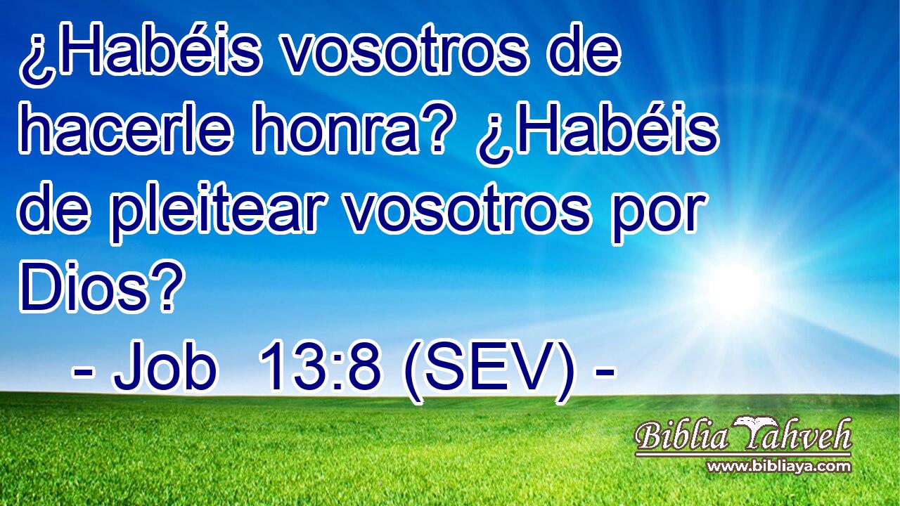 ¿Habéis vosotros de hacerle honra? ¿Habéis de pleitear vosotros por Dios?