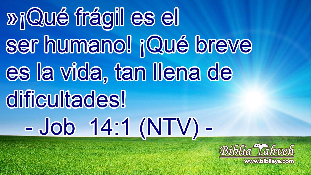 »¡Qué frágil es el ser humano! ¡Qué breve es la vida, tan llena de dificultades!