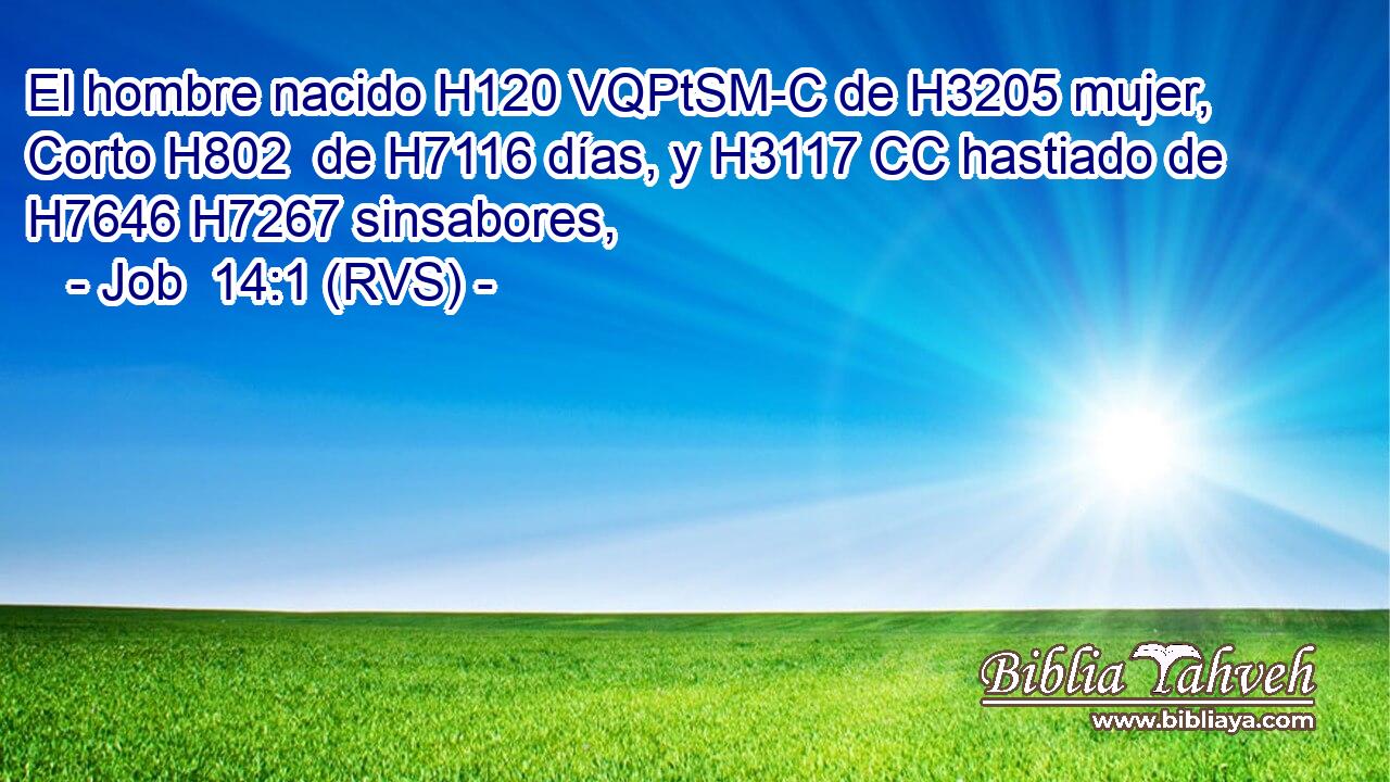 El hombre nacido H120 VQPtSM-C de H3205 mujer, Corto H802  de H7116 días, y H3117 CC hastiado de H7646 H7267 sinsabores, 