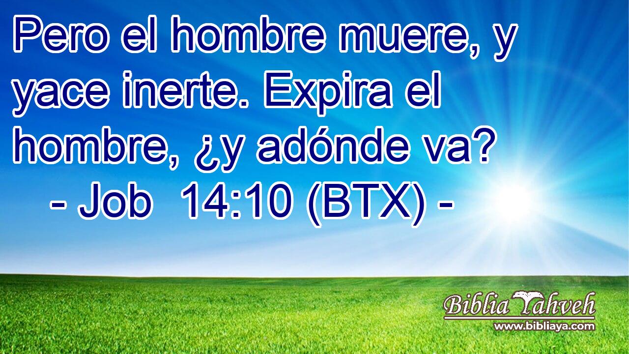 Pero el hombre muere, y yace inerte. Expira el hombre, ¿y adónde va?