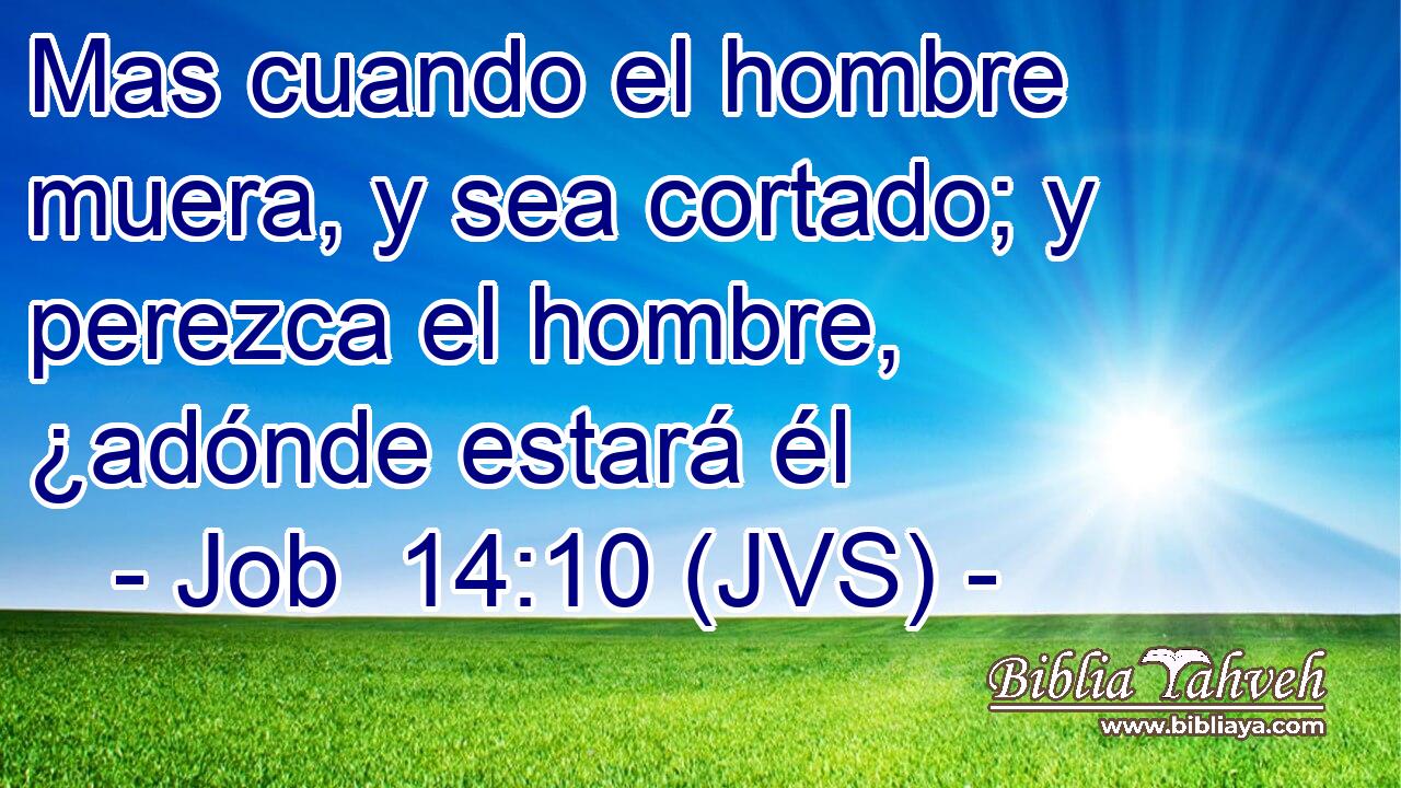 Mas cuando el hombre muera, y sea cortado; y perezca el hombre, ¿adónde estará él