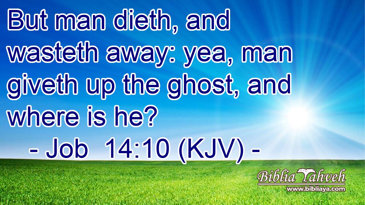 But man dieth, and wasteth away: yea, man giveth up the ghost, and where is he?