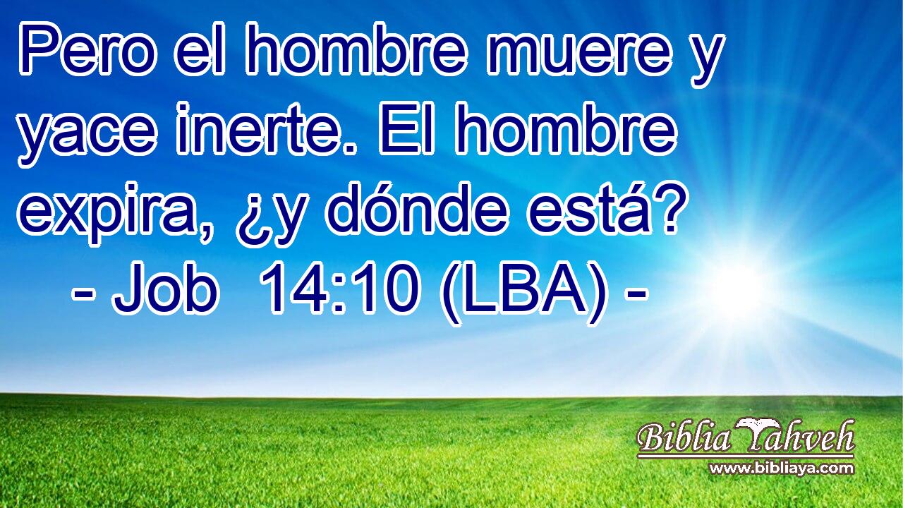 Pero el hombre muere y yace inerte. El hombre expira, ¿y dónde está?