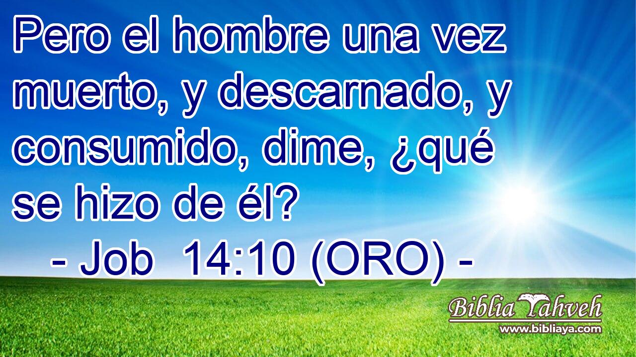  Pero el hombre una vez muerto, y descarnado, y consumido, dime, ¿qué se hizo de él? 