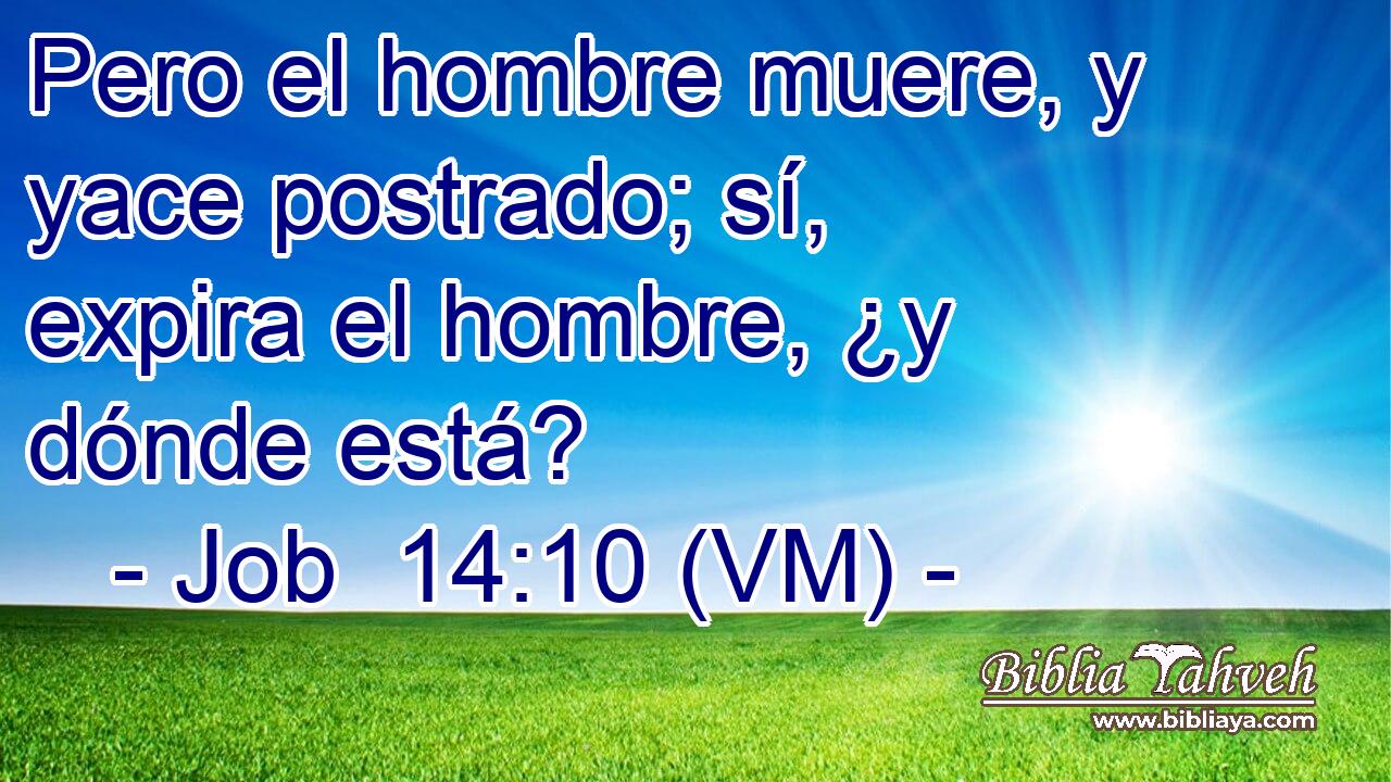  Pero el hombre muere, y yace postrado; sí, expira el hombre, ¿y dónde está? 