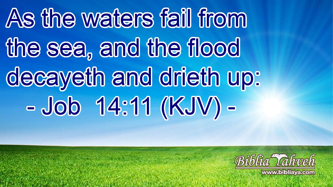 As the waters fail from the sea, and the flood decayeth and drieth up: