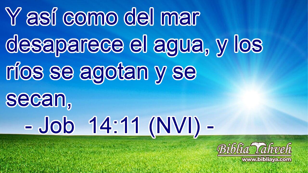  Y así como del mar desaparece el agua, y los ríos se agotan y se secan, 