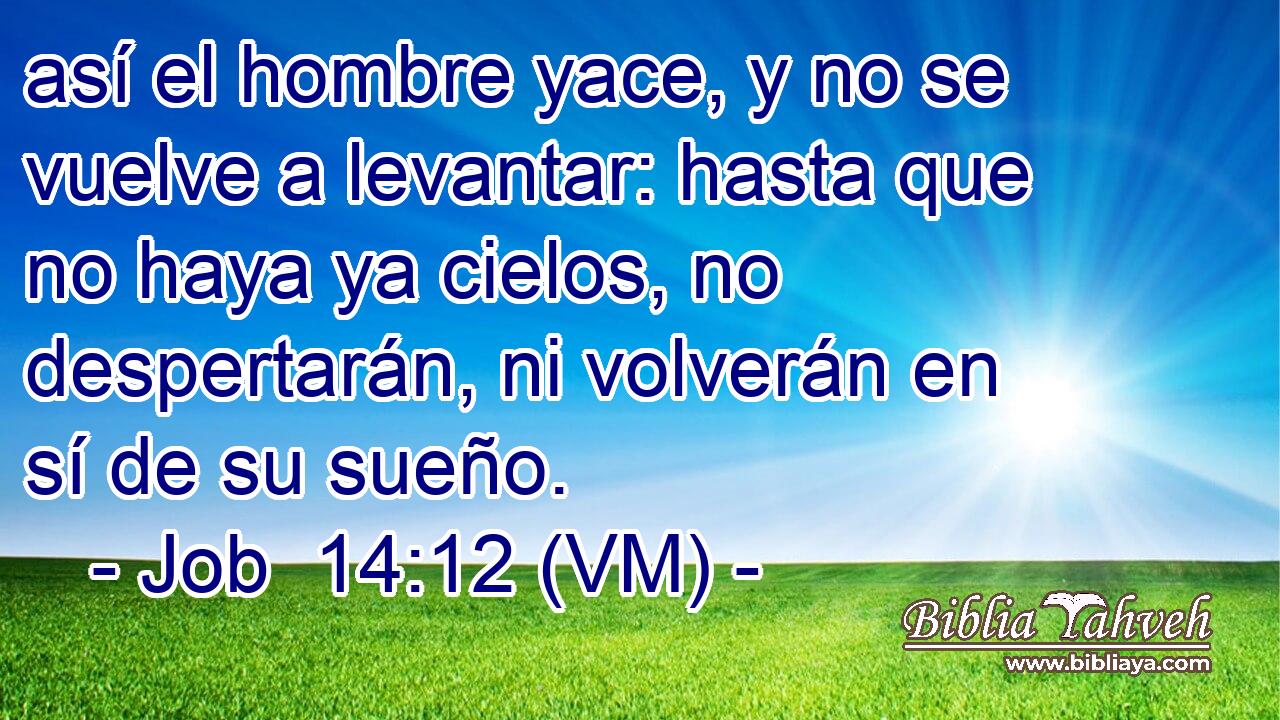  así el hombre yace, y no se vuelve a levantar: hasta que no haya ya cielos, no despertarán, ni volverán en sí de su sueño. 