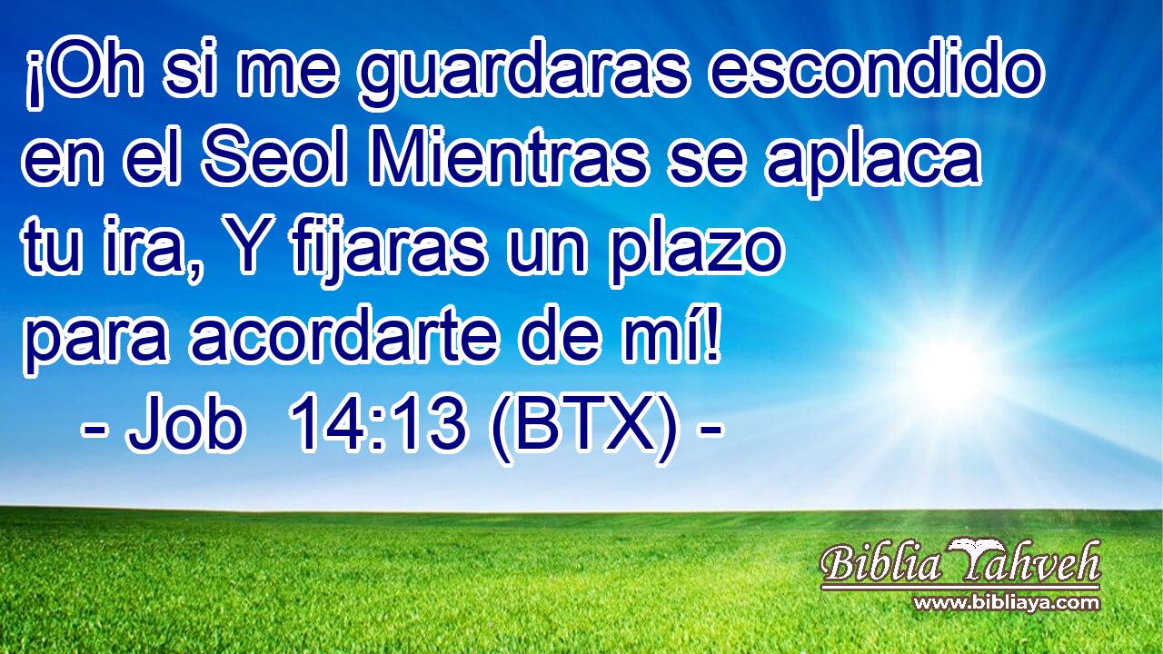 ¡Oh si me guardaras escondido en el Seol Mientras se aplaca tu ira, Y fijaras un plazo para acordarte de mí!