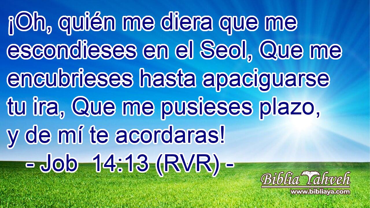 ¡Oh, quién me diera que me escondieses en el Seol, Que me encubrieses hasta apaciguarse tu ira, Que me pusieses plazo, y de mí te acordaras!