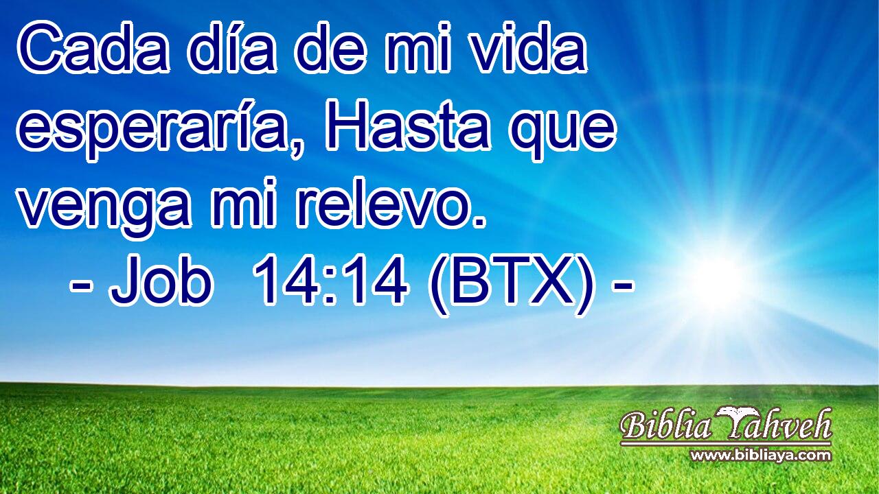 Cada día de mi vida esperaría, Hasta que venga mi relevo.