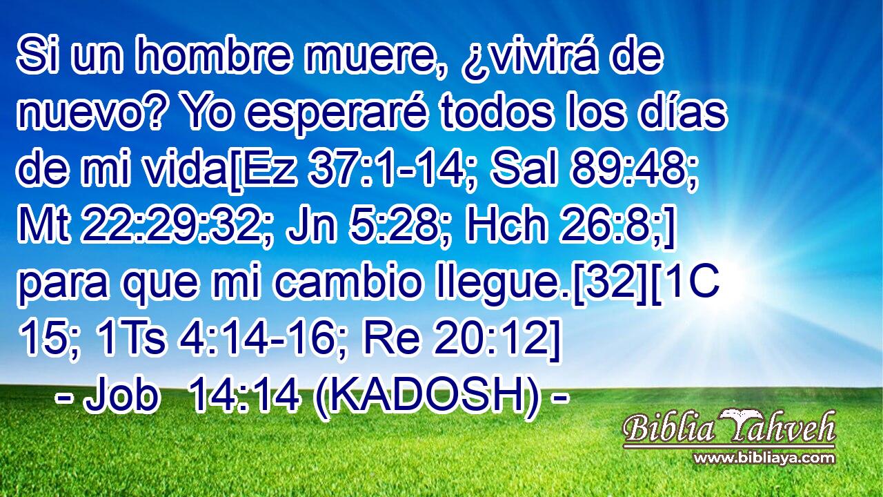  Si un hombre muere, ¿vivirá de nuevo? Yo esperaré todos los días de mi vida[Ez 37:1-14; Sal 89:48; Mt 22:29:32; Jn 5:28; Hch 26:8;] para que mi cambio llegue.[32][1C 15; 1Ts 4:14-16; Re 20:12] 