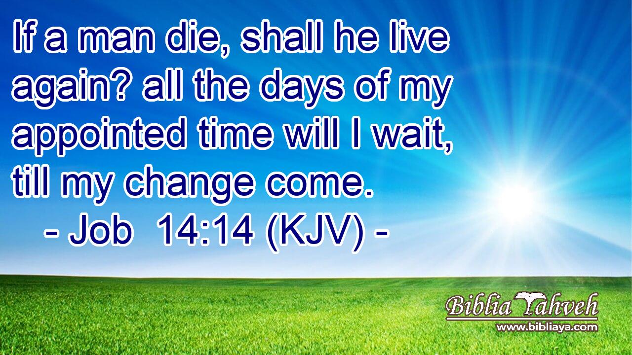 If a man die, shall he live again? all the days of my appointed time will I wait, till my change come.