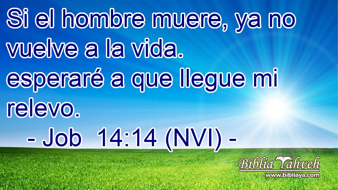  Si el hombre muere, ya no vuelve a la vida. esperaré a que llegue mi relevo. 