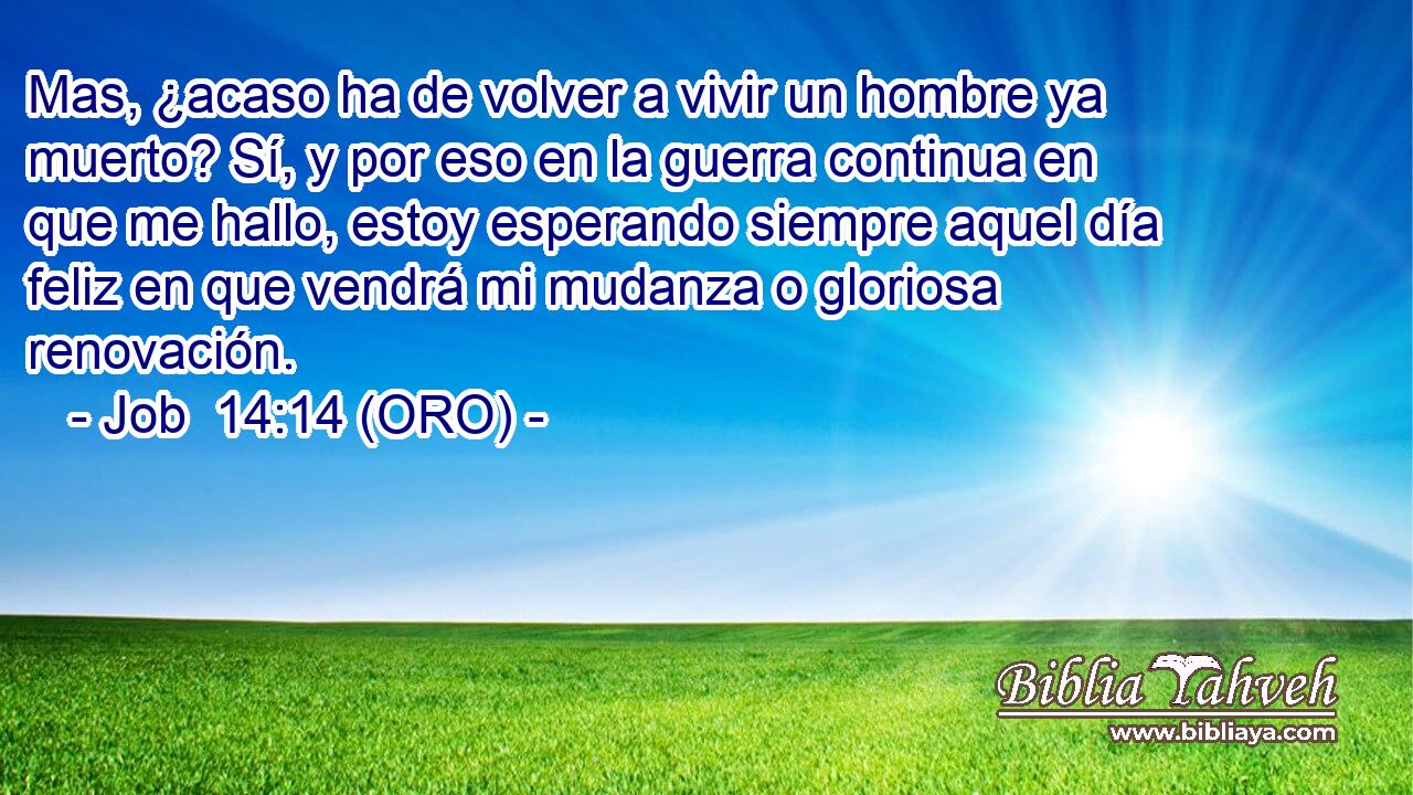  Mas, ¿acaso ha de volver a vivir un hombre ya muerto? Sí, y por eso en la guerra continua en que me hallo, estoy esperando siempre aquel día feliz en que vendrá mi mudanza o gloriosa renovación. 