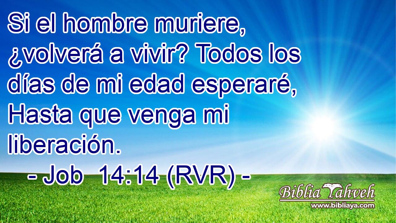 Si el hombre muriere, ¿volverá a vivir? Todos los días de mi edad esperaré, Hasta que venga mi liberación.