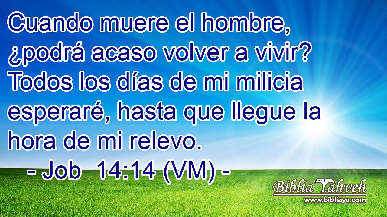  Cuando muere el hombre, ¿podrá acaso volver a vivir? Todos los días de mi milicia esperaré, hasta que llegue la hora de mi relevo. 