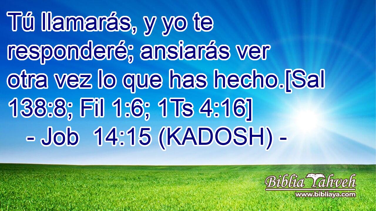  Tú llamarás, y yo te responderé; ansiarás ver otra vez lo que has hecho.[Sal 138:8; Fil 1:6; 1Ts 4:16] 
