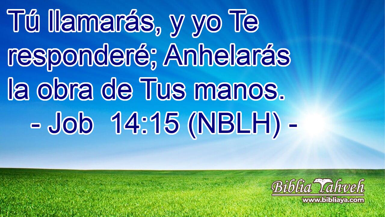  Tú llamarás, y yo Te responderé; Anhelarás la obra de Tus manos. 