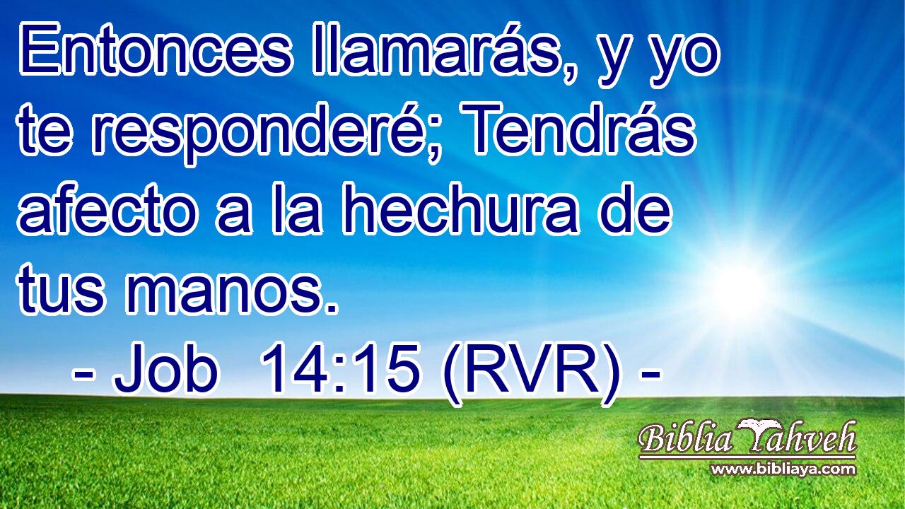 Entonces llamarás, y yo te responderé; Tendrás afecto a la hechura de tus manos.