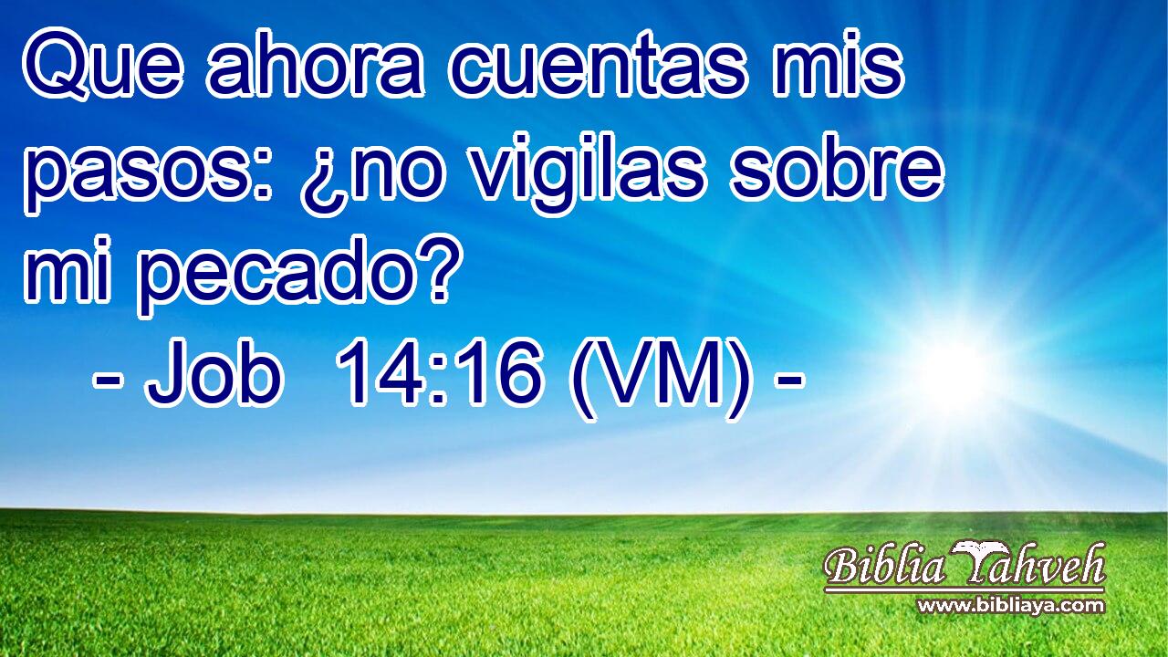  Que ahora cuentas mis pasos: ¿no vigilas sobre mi pecado? 