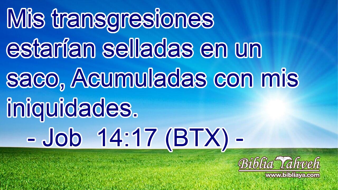 Mis transgresiones estarían selladas en un saco, Acumuladas con mis iniquidades.
