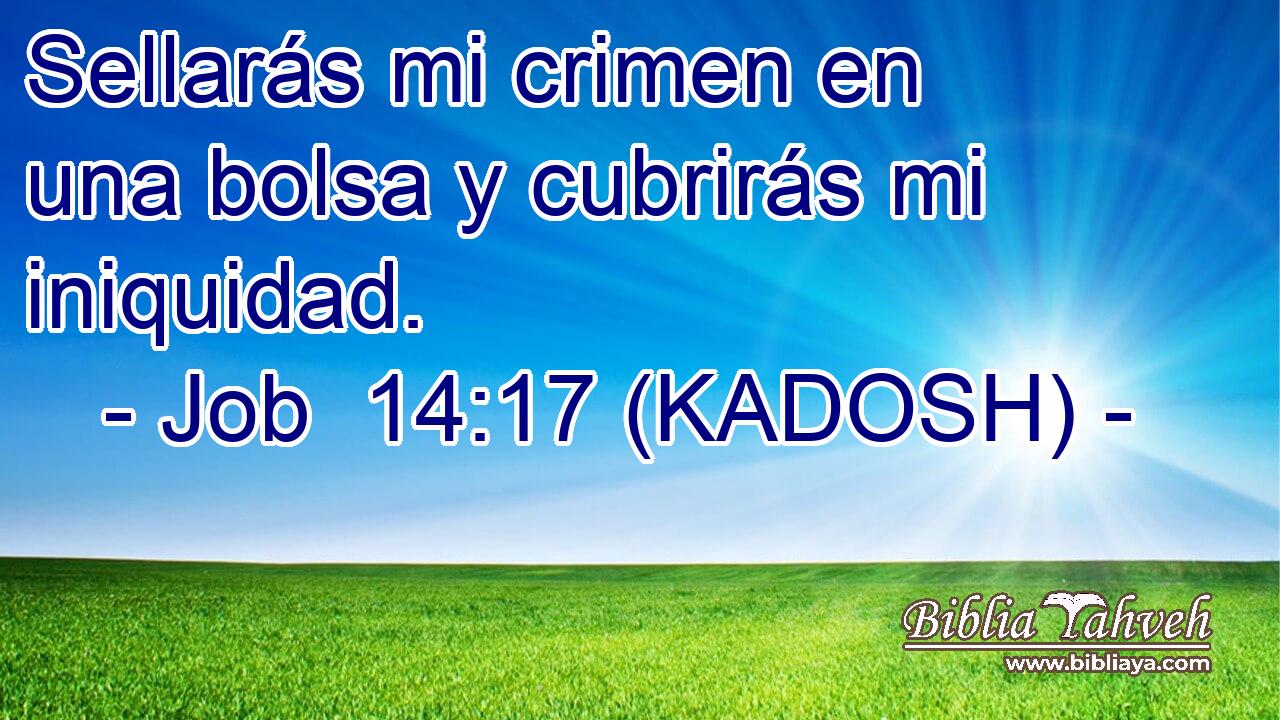 Sellarás mi crimen en una bolsa y cubrirás mi iniquidad. 