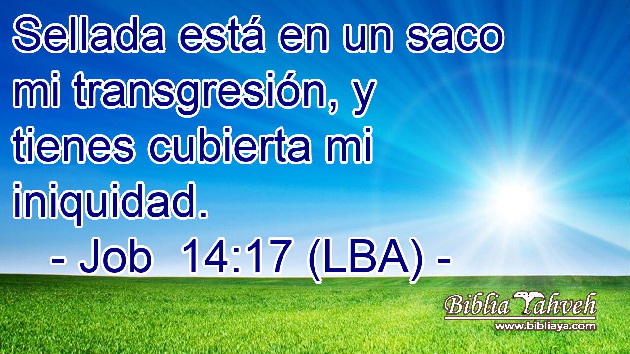 Sellada está en un saco mi transgresión, y tienes cubierta mi iniquidad.