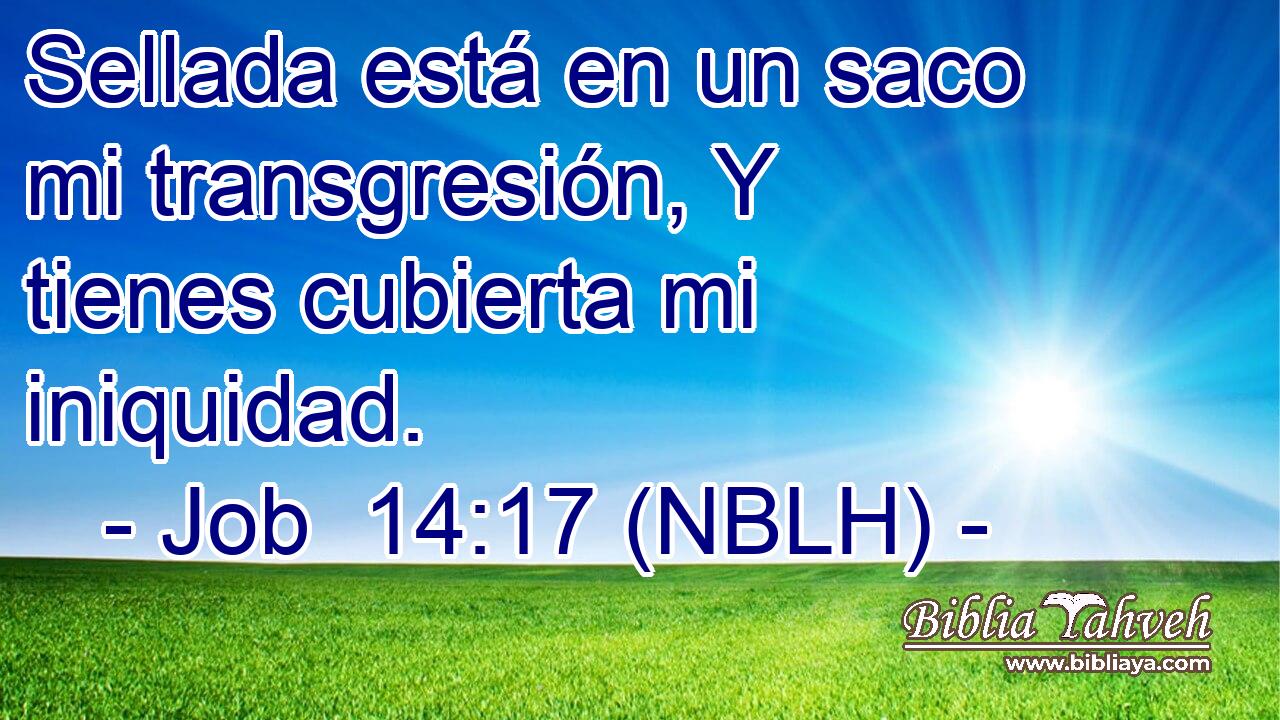  Sellada está en un saco mi transgresión, Y tienes cubierta mi iniquidad. 