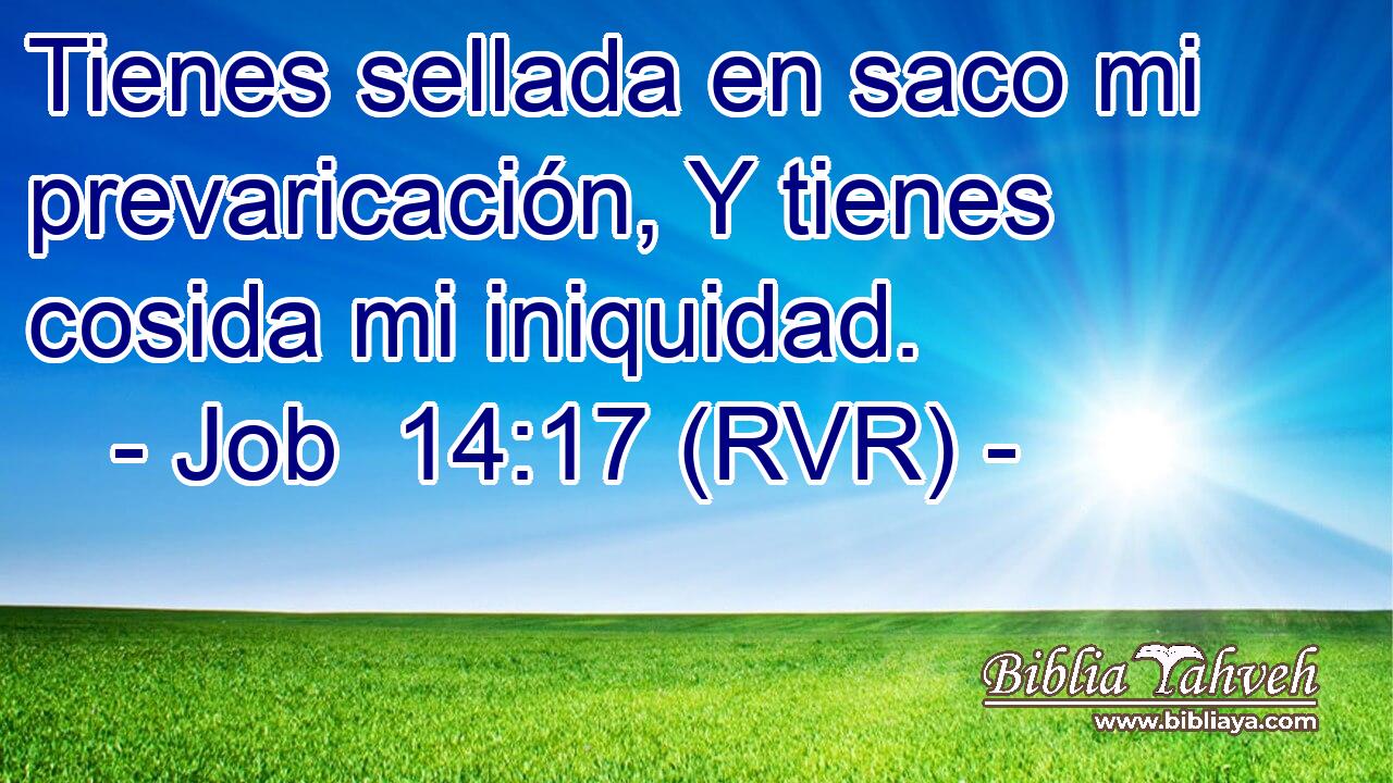 Tienes sellada en saco mi prevaricación, Y tienes cosida mi iniquidad.