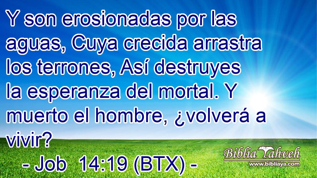 Y son erosionadas por las aguas, Cuya crecida arrastra los terrones, Así destruyes la esperanza del mortal. Y muerto el hombre, ¿volverá a vivir?