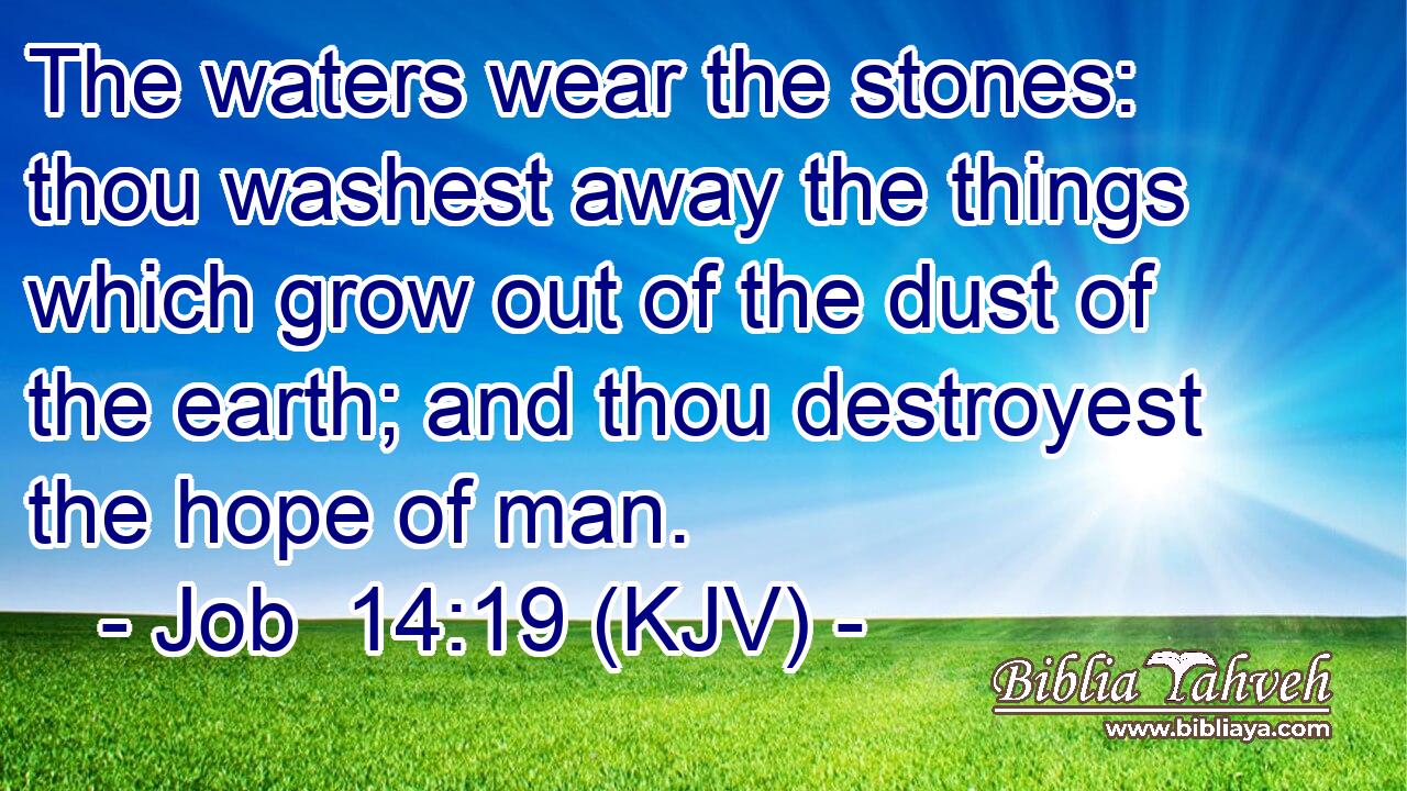 The waters wear the stones: thou washest away the things which grow out of the dust of the earth; and thou destroyest the hope of man.